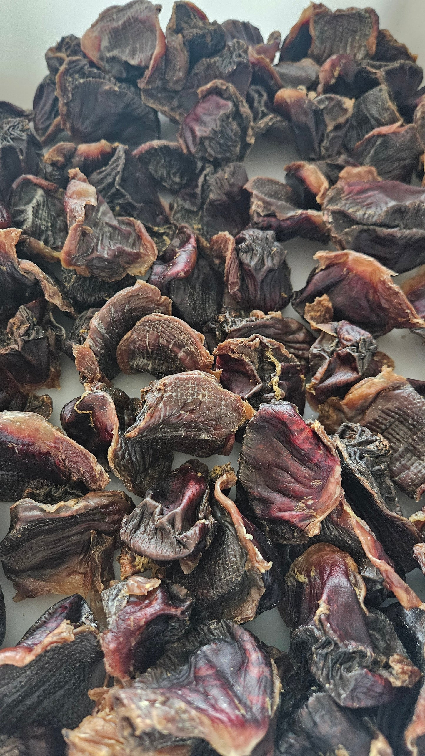 Mollejas de pavo deshidratadas para perros y gatos — 100 % de un solo ingrediente | Raw Instincts Florida