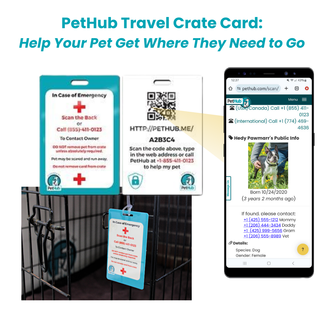 Identificación QR de mascotas: Tarjeta para jaula de viaje