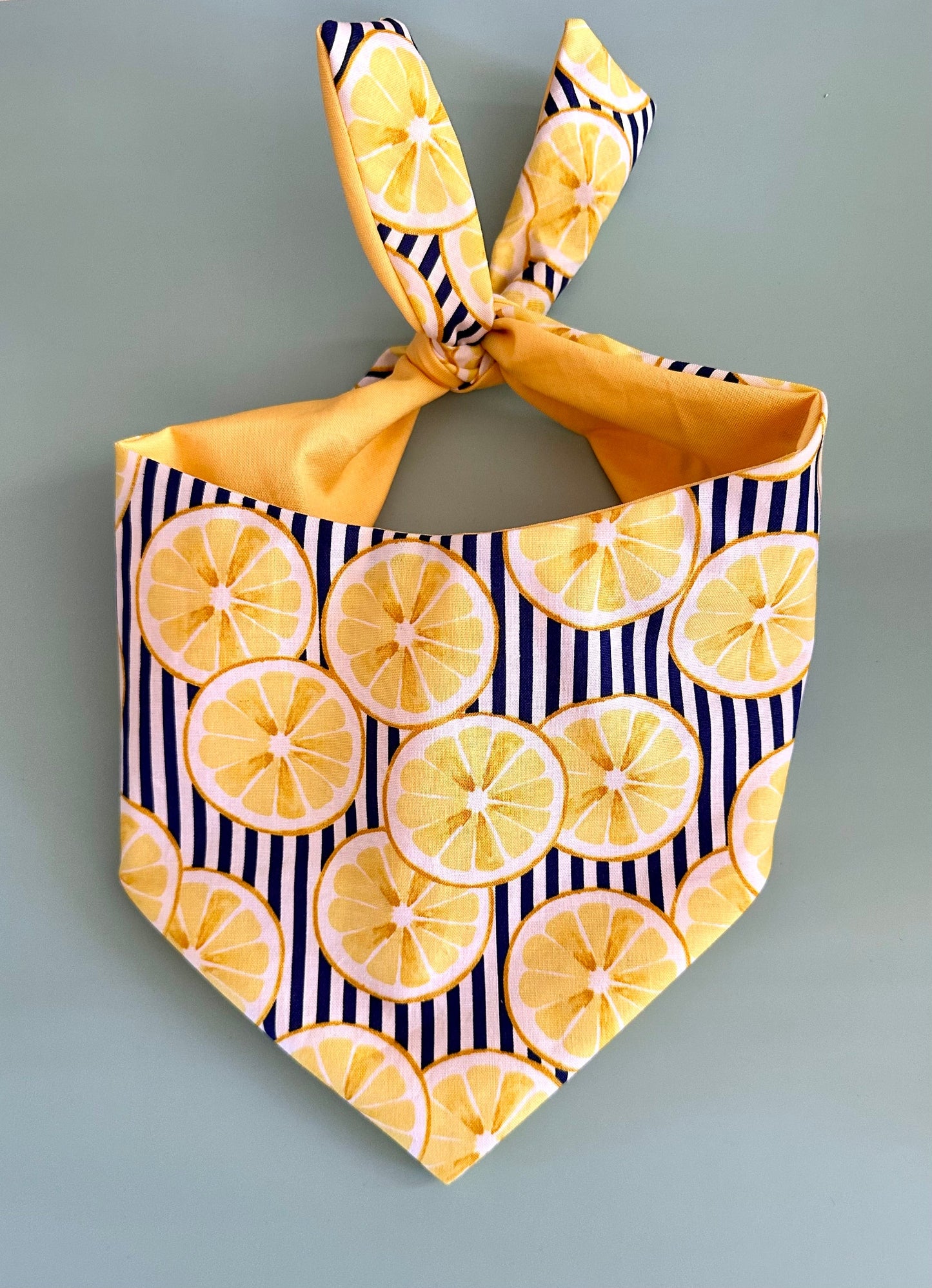 Bandana de limón para perro