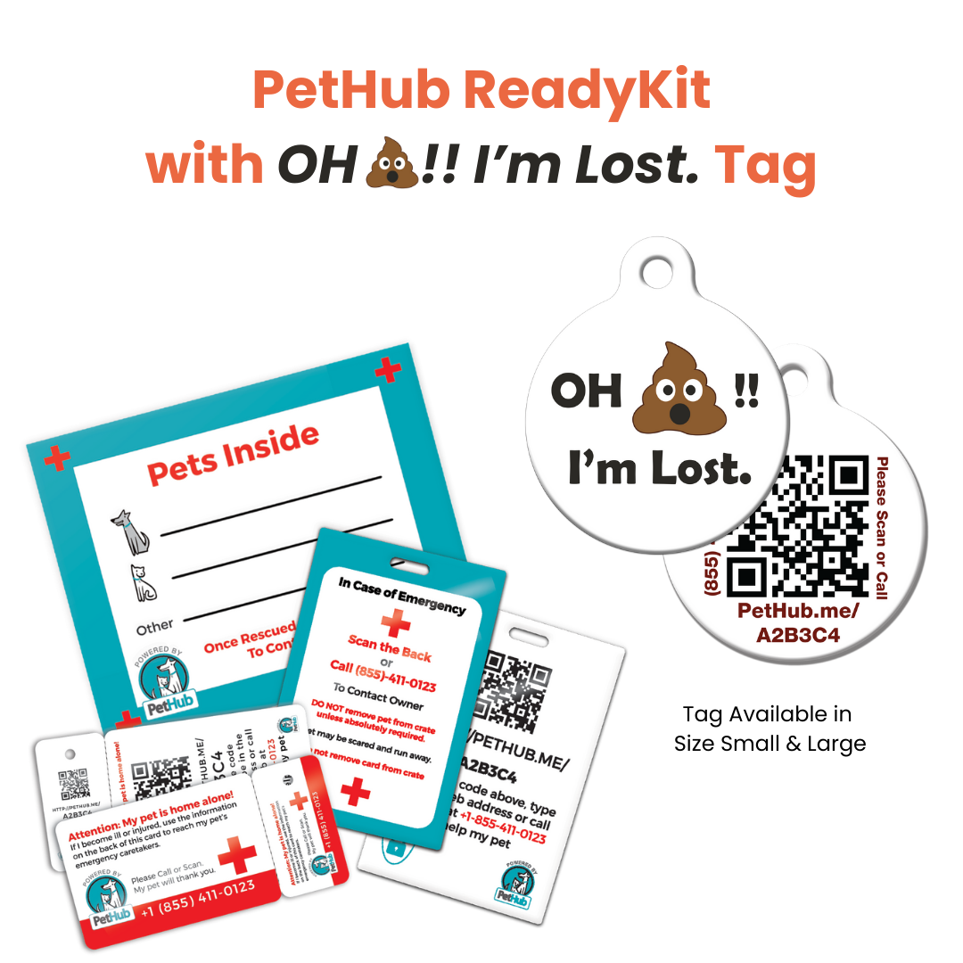 Kit completo de identificación de mascotas QR de PetHub: kit de emergencia completo