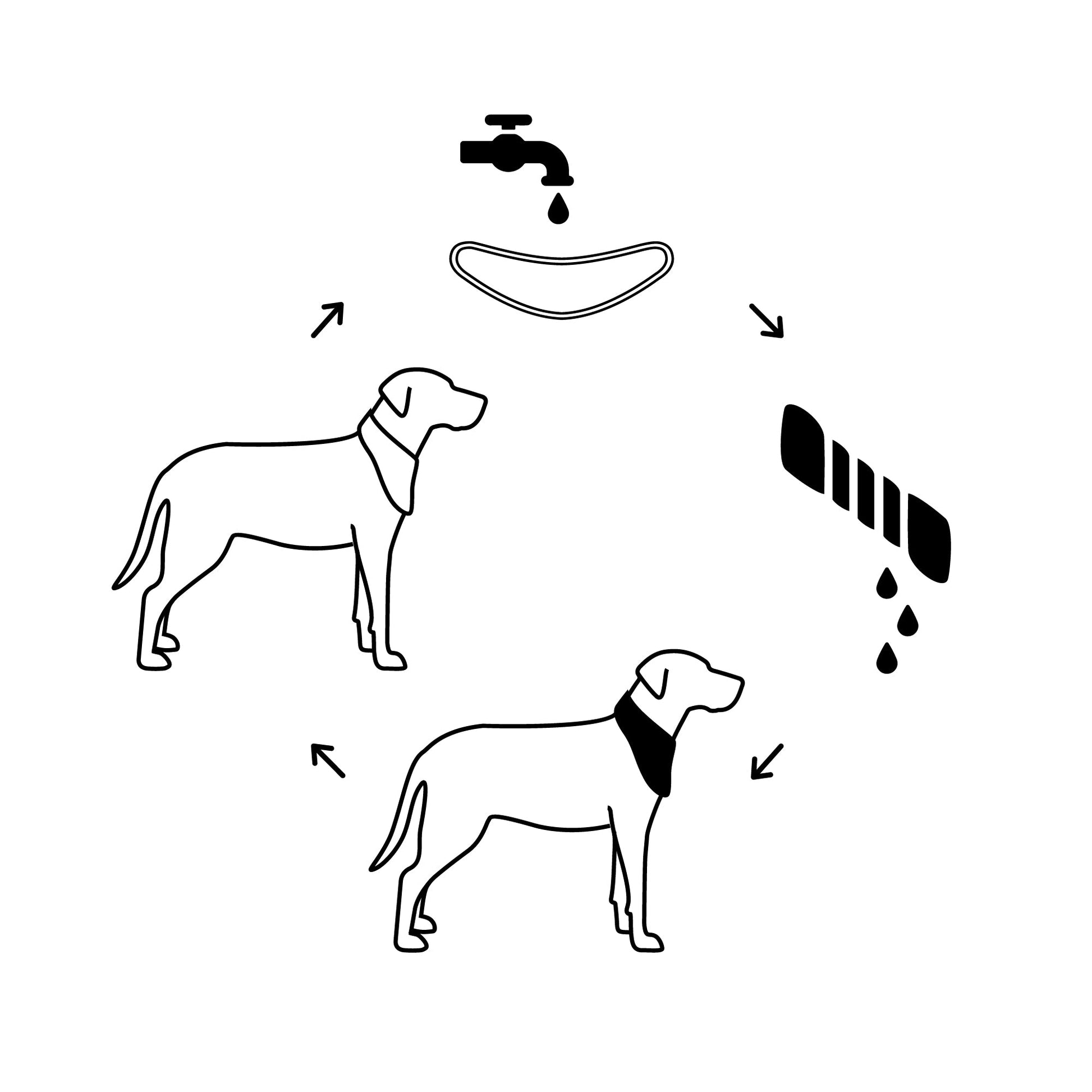 ICE BAND - Dog Cooling Bandana - Blue image 4