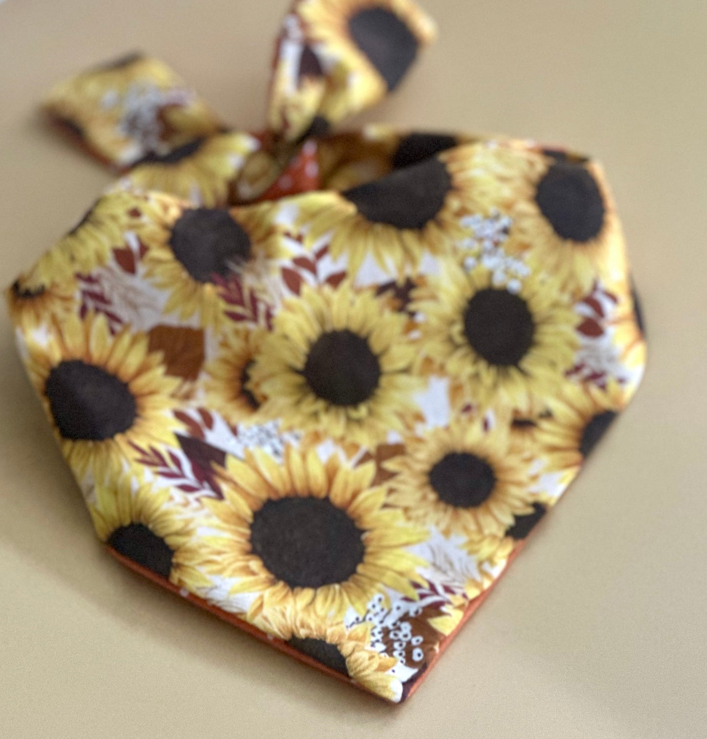 Bandana de girasol para perro