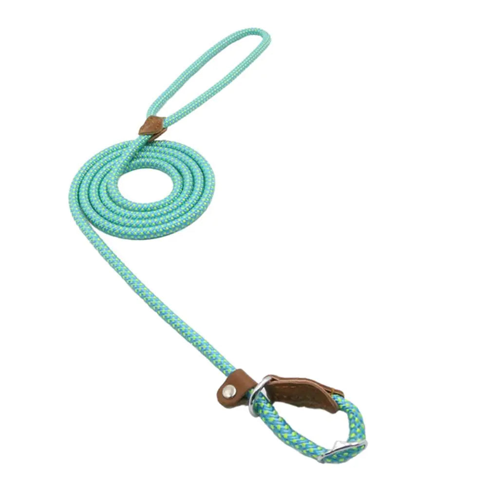 Nylon Canine Combo