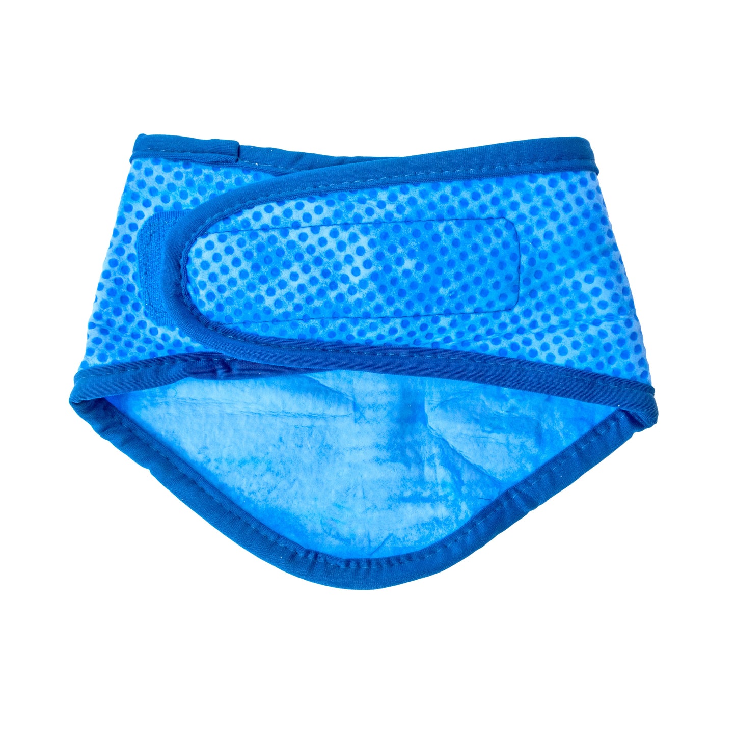 ICE BAND - Dog Cooling Bandana - Blue image 2