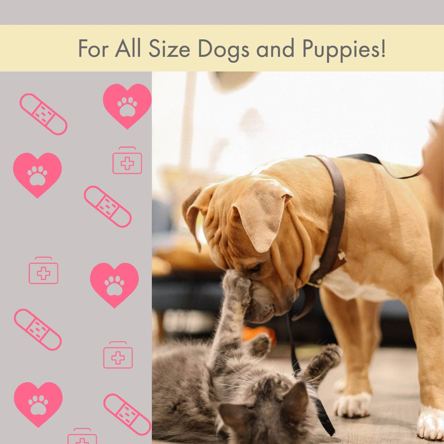 Kit completo de primeros auxilios para mascotas de 40 piezas para emergencias, seguridad y aventuras.