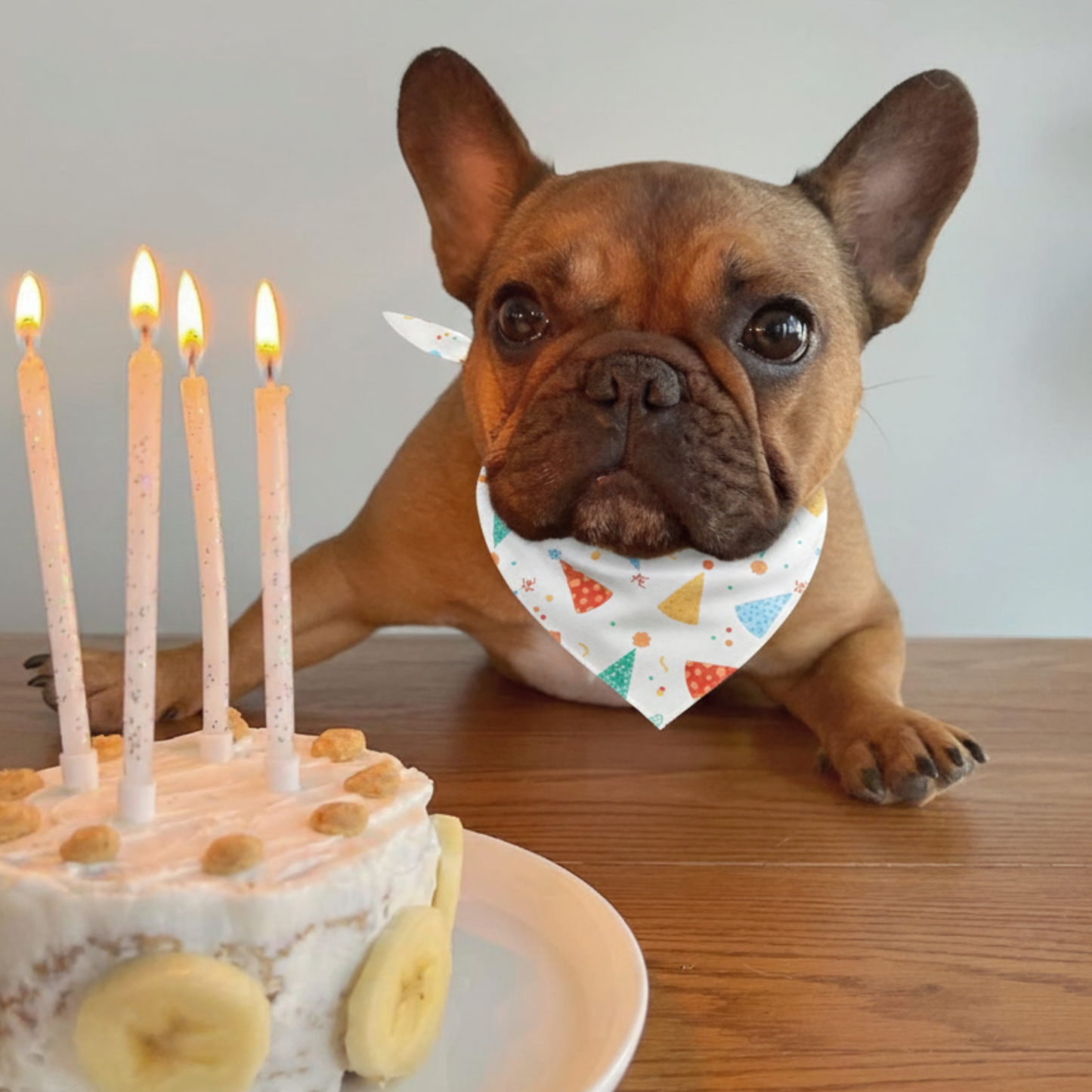 Pañuelo de cumpleaños para perro