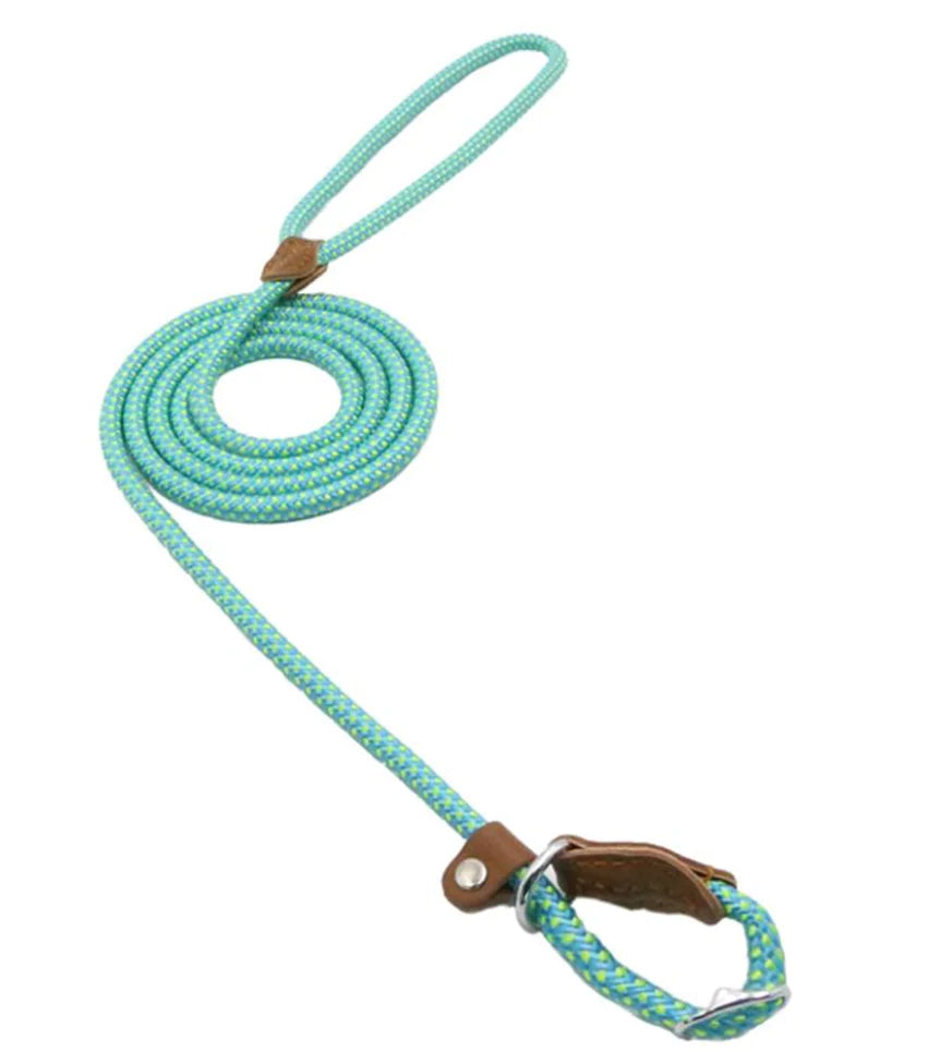 Nylon Canine Combo