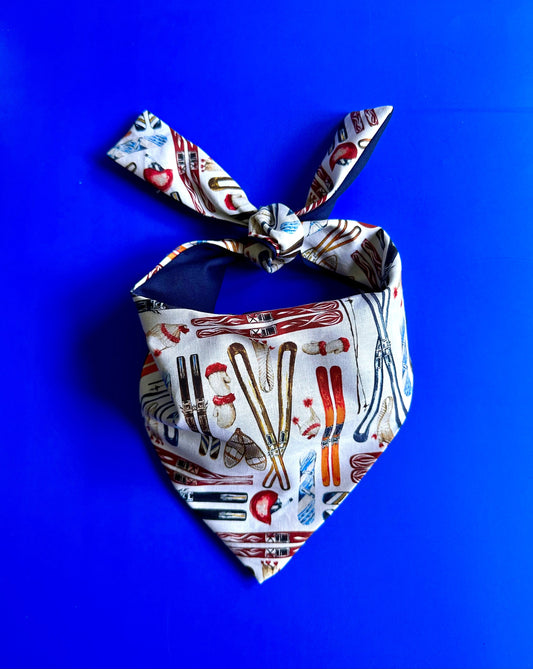 Bandana para perro esquiador