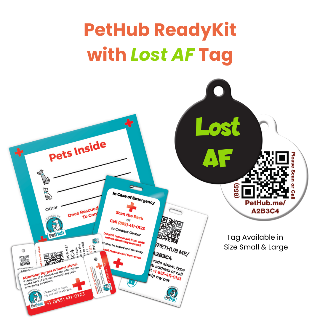 Kit completo de identificación de mascotas QR de PetHub: kit de emergencia completo