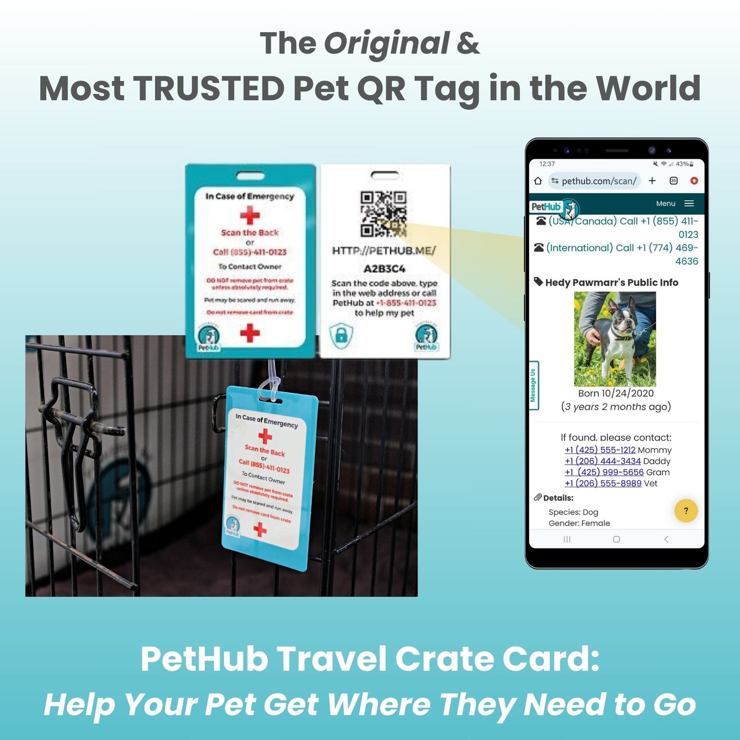 Identificación completa de mascotas con código QR: Mini ReadyKit