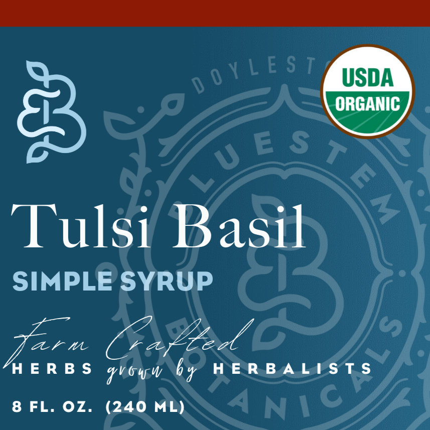 Jarabe simple de albahaca y tulsi - Orgánico