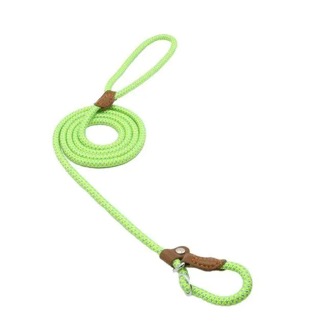 Nylon Canine Combo