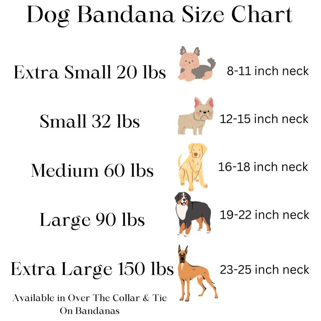 Bandana para perros de EE. UU.