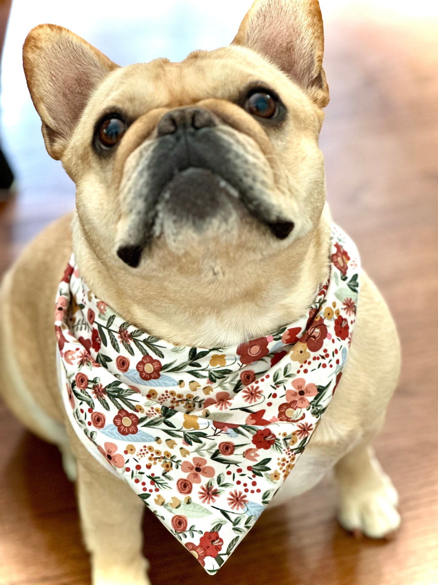 Bandana floral para perro