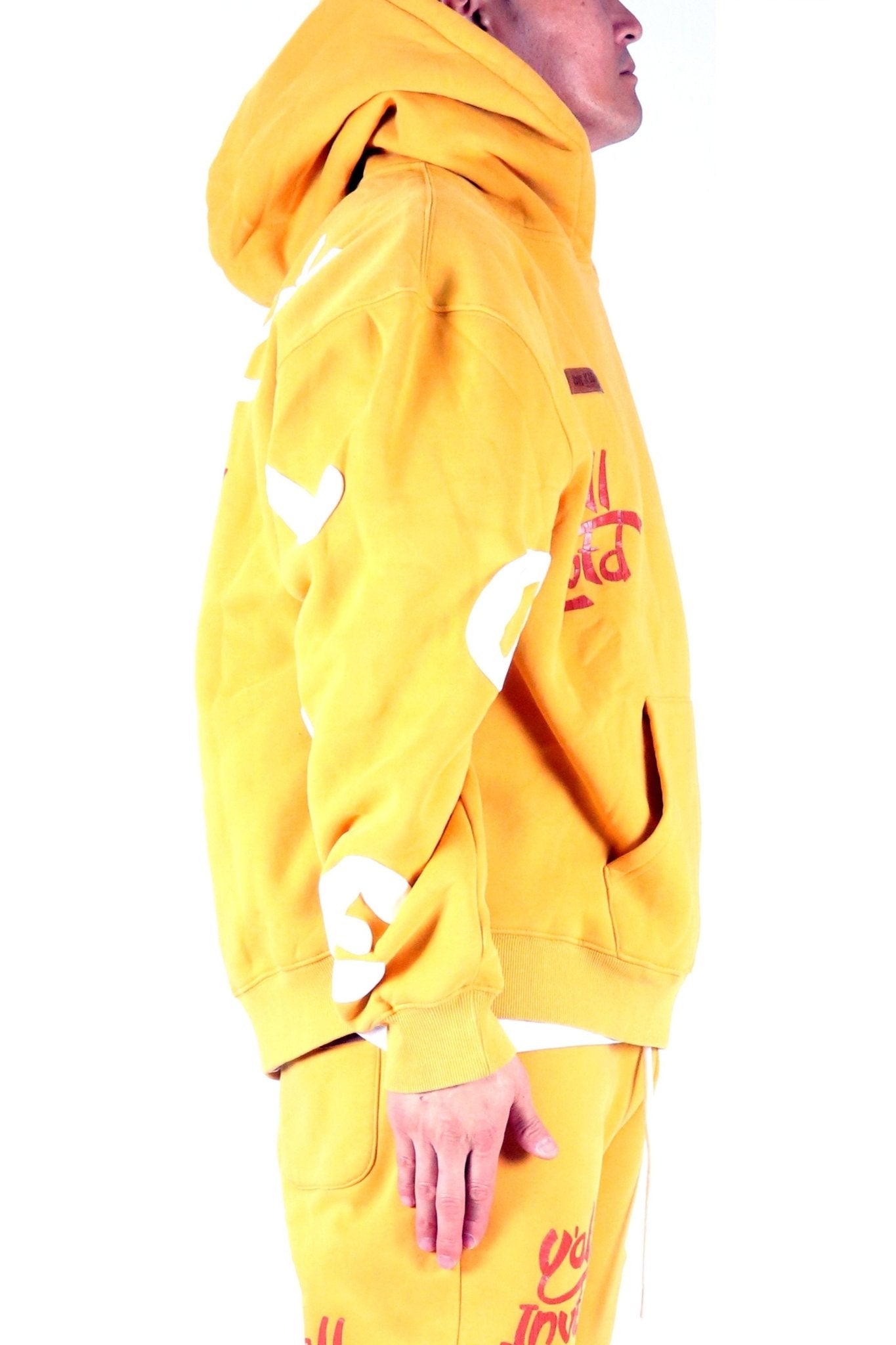 Sudadera con capucha y gráfico cepillado de peso pesado de DAFFORD