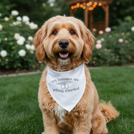 Bandana para perros "Mis humanos se casan", recién llegada