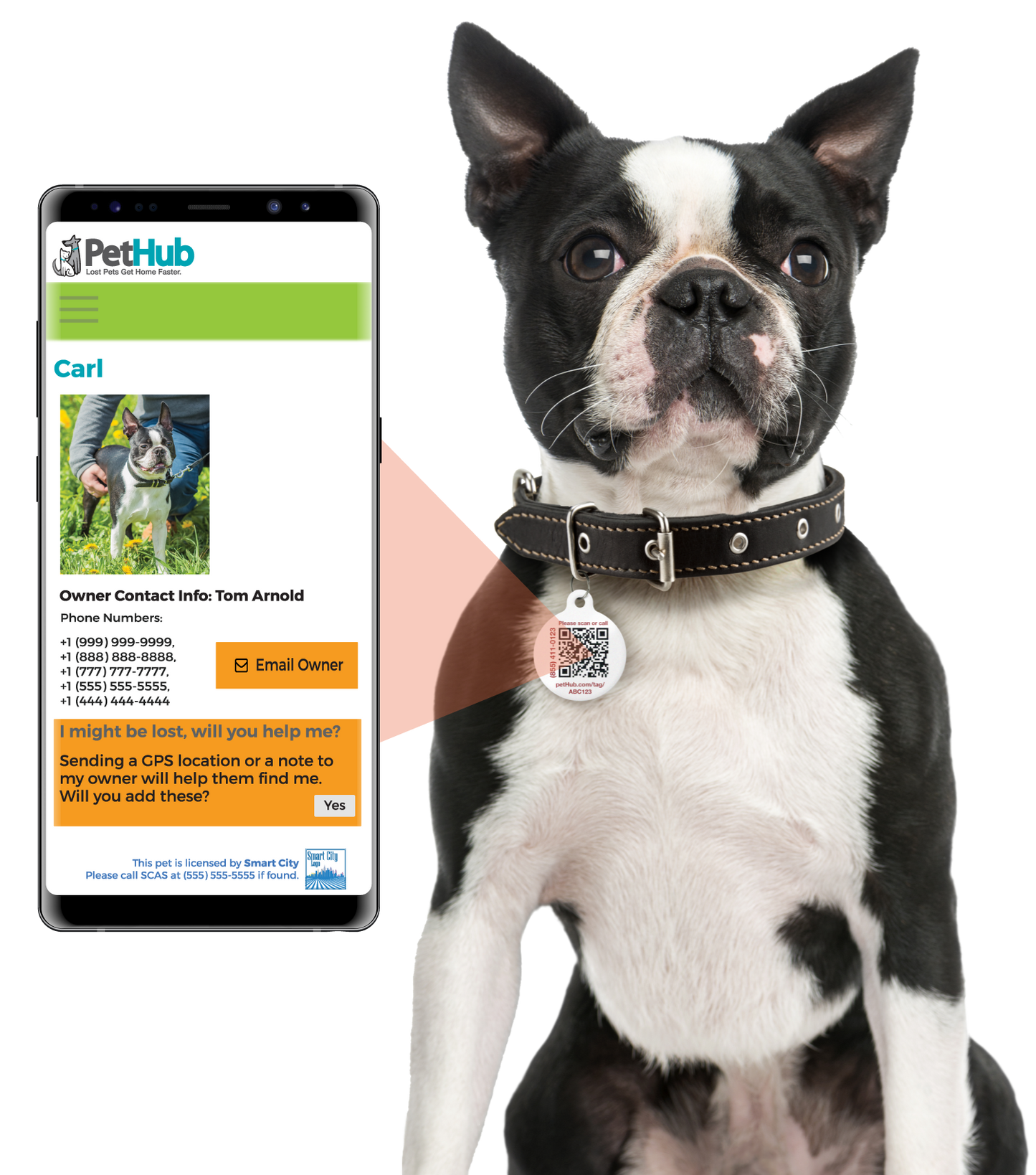 Etiqueta QR ID para mascotas - Lost AF