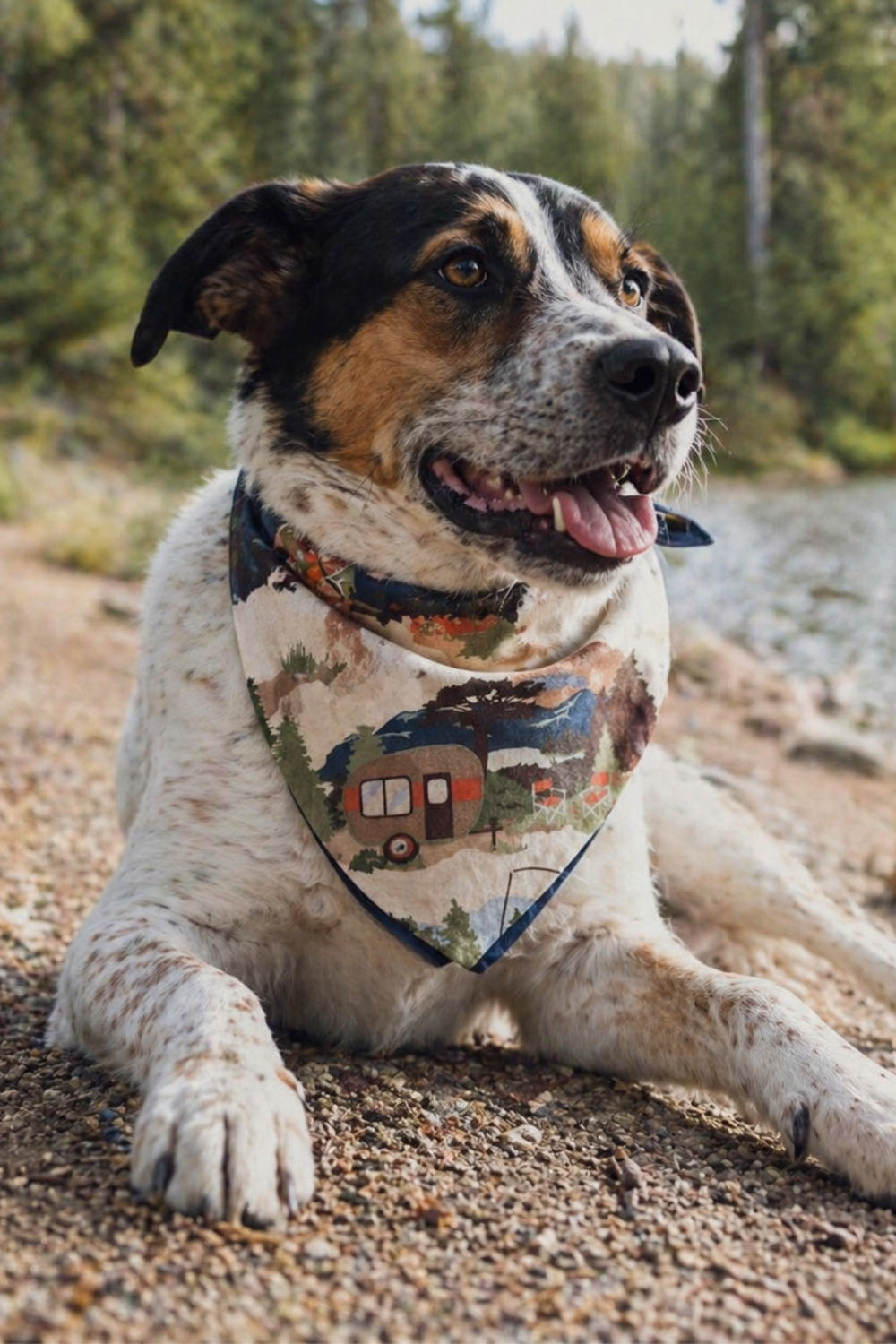 Bandana para perros para acampar