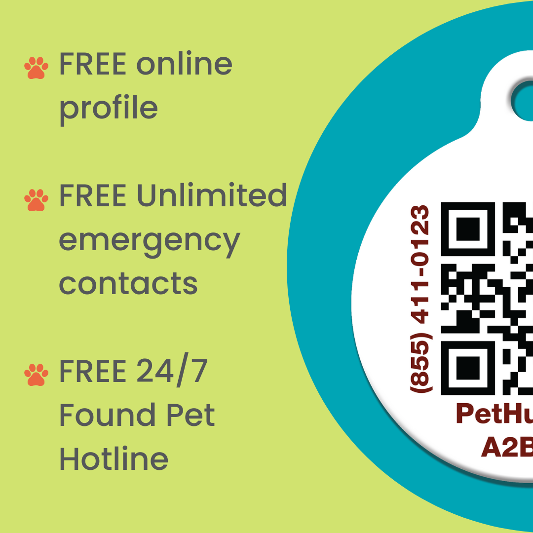 Identificación completa de mascotas con código QR: Mini ReadyKit