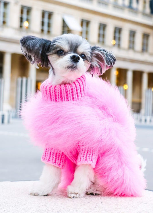 Suéter de lujo para mascotas con plumas de alta costura