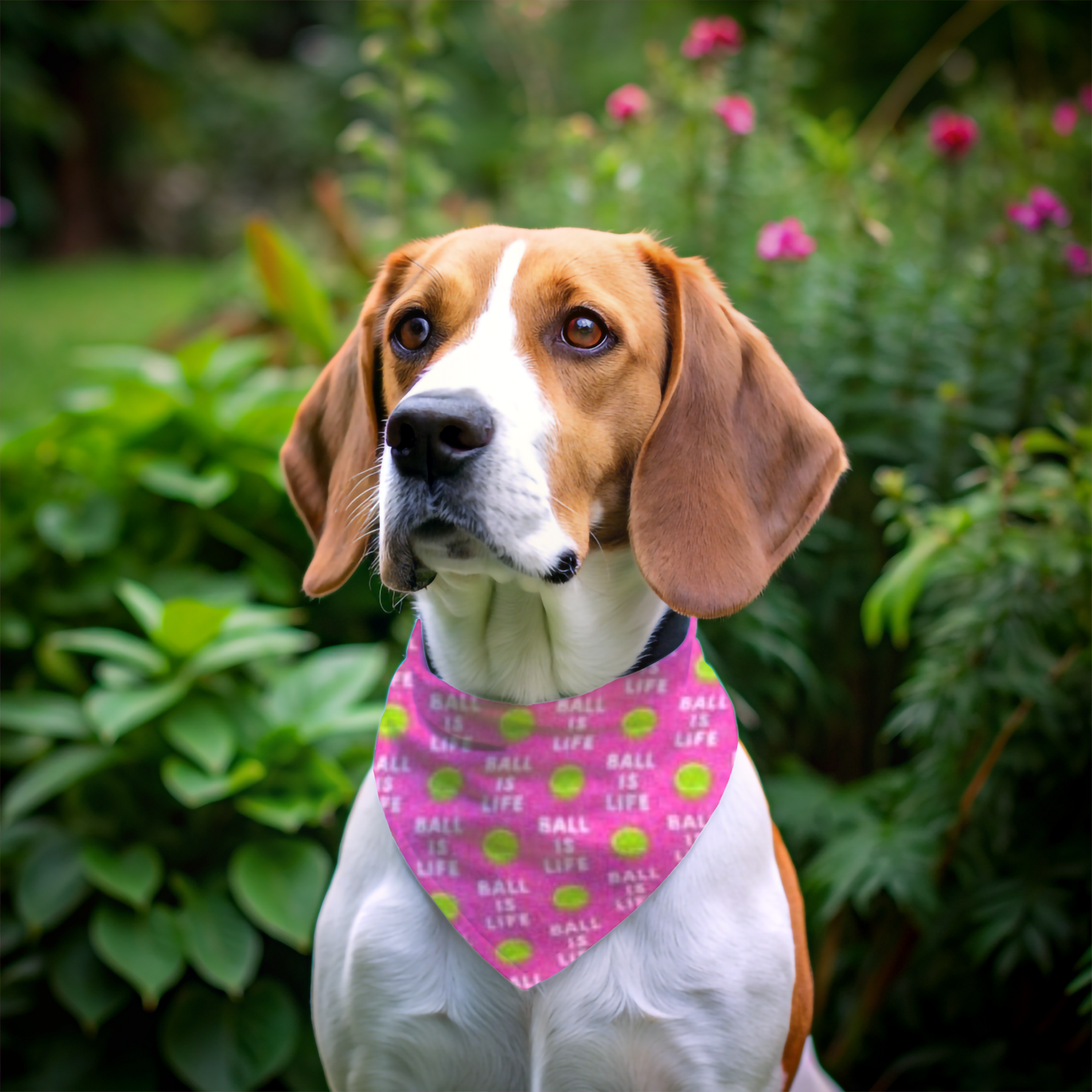 Pañoleta para Perro Bola Rosa es Vida