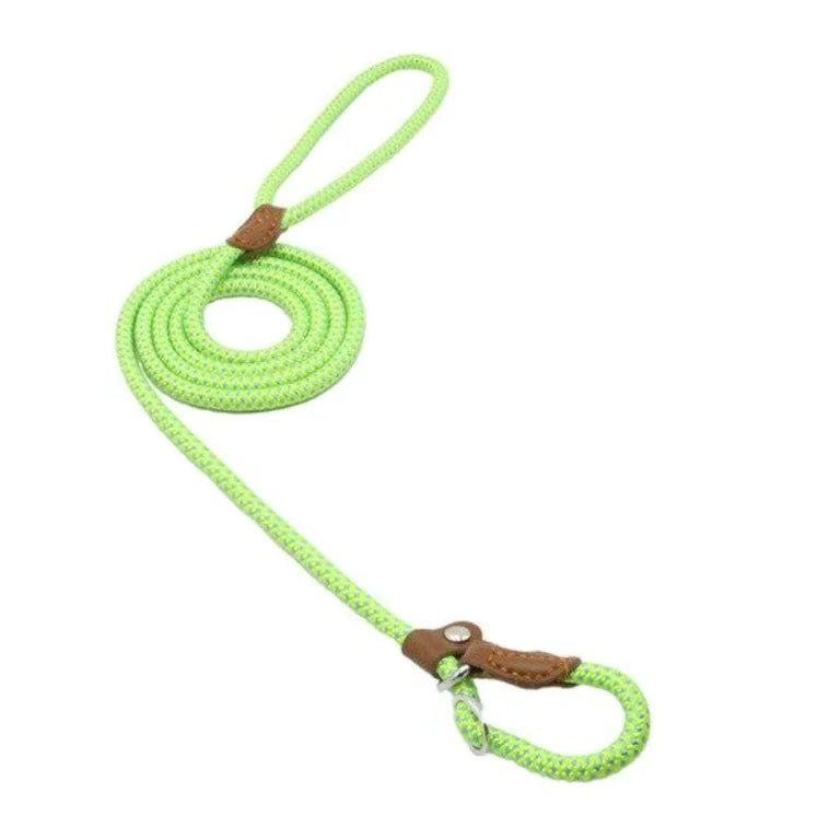 Nylon Canine Combo