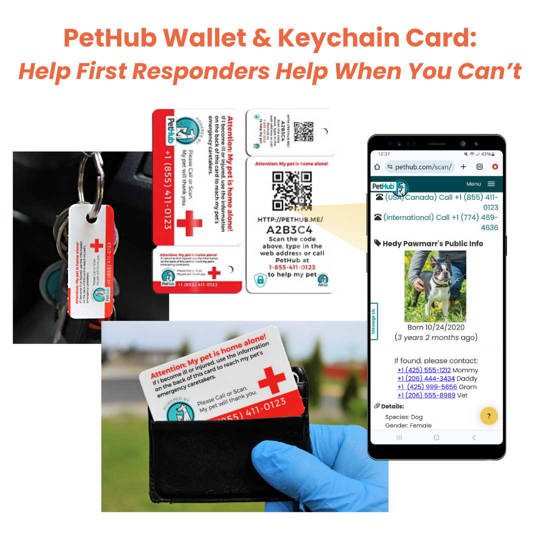 Kit completo de identificación de mascotas QR de PetHub: kit de emergencia completo