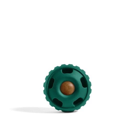 Woof Dog Pupsicle Green Large Dog Toy