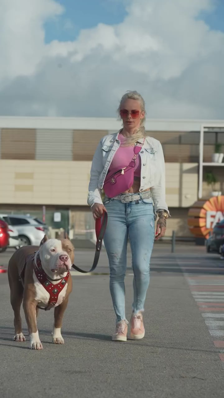 Conjunto "EROS" para perro grande: arnés, collar y correa. Rojo