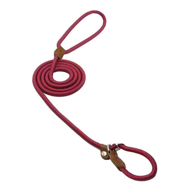 Juego de cachorros de nailon