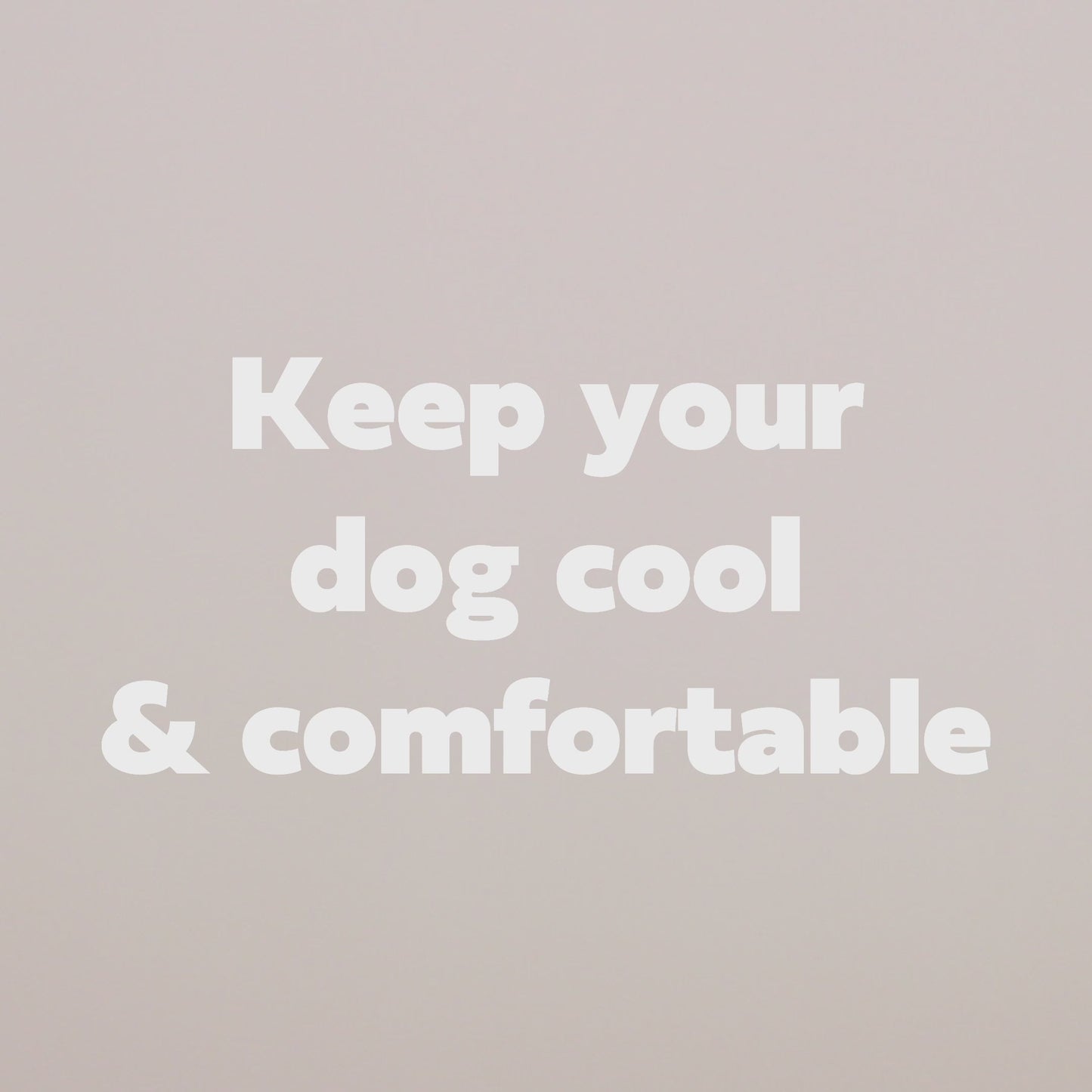 ICE BAND - Dog Cooling Bandana - Blue image 8