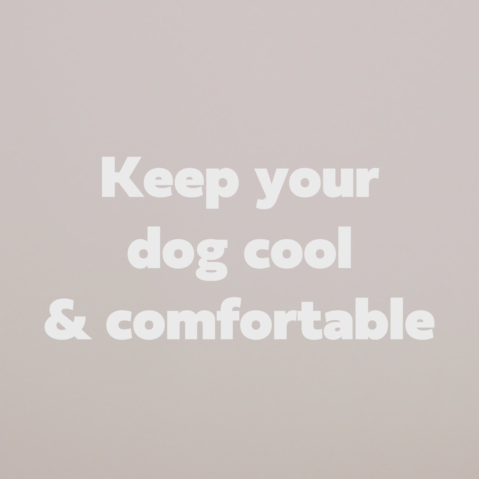 ICE BAND - Dog Cooling Bandana - Blue image 8
