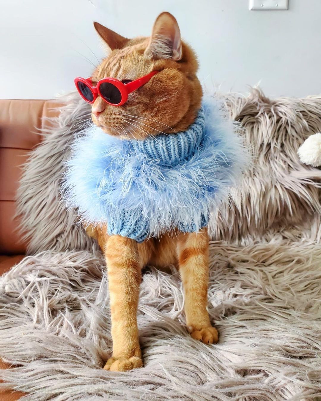 Suéter de lujo para mascotas con plumas de alta costura