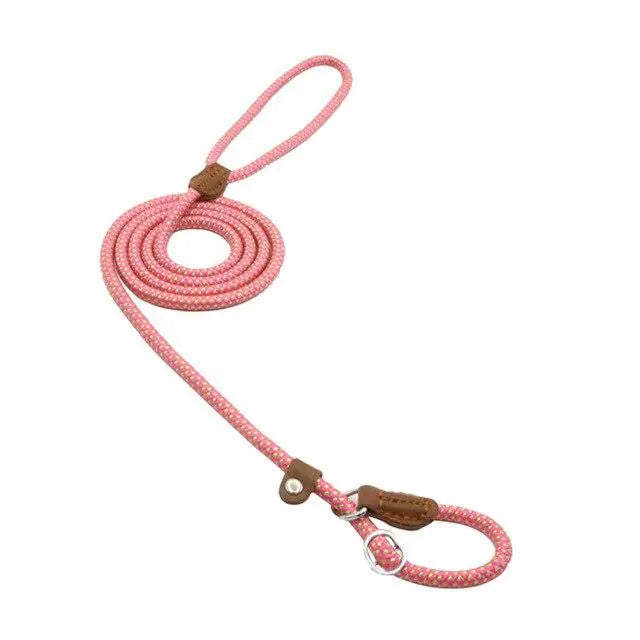 Nylon Canine Combo