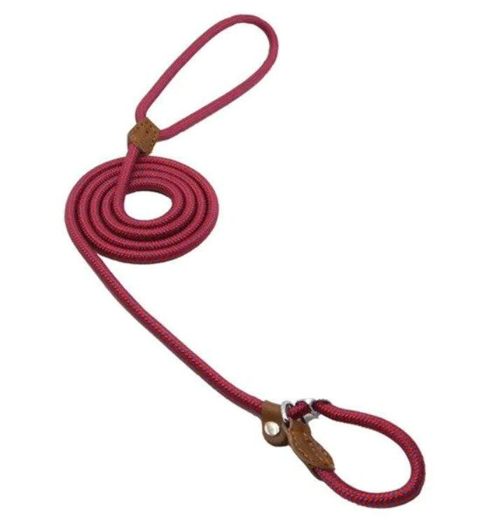 Nylon Canine Combo