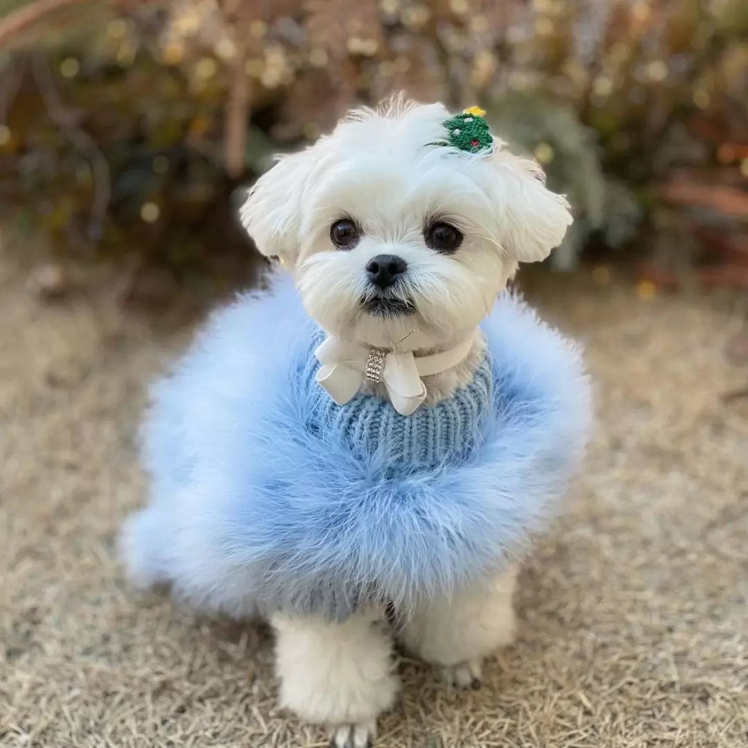 Suéter de lujo para mascotas con plumas de alta costura