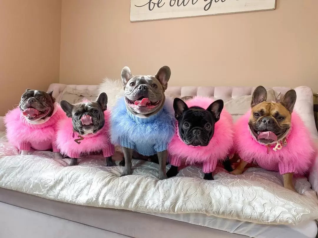 Suéter de lujo para mascotas con plumas de alta costura