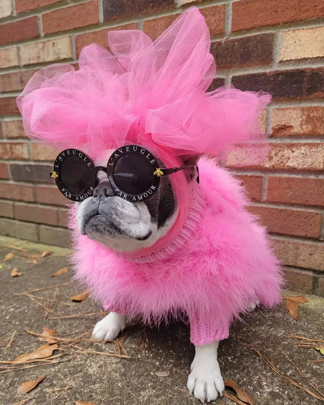 Suéter de lujo para mascotas con plumas de alta costura