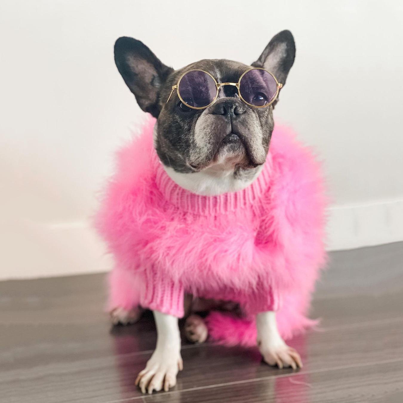 Suéter de lujo para mascotas con plumas de alta costura